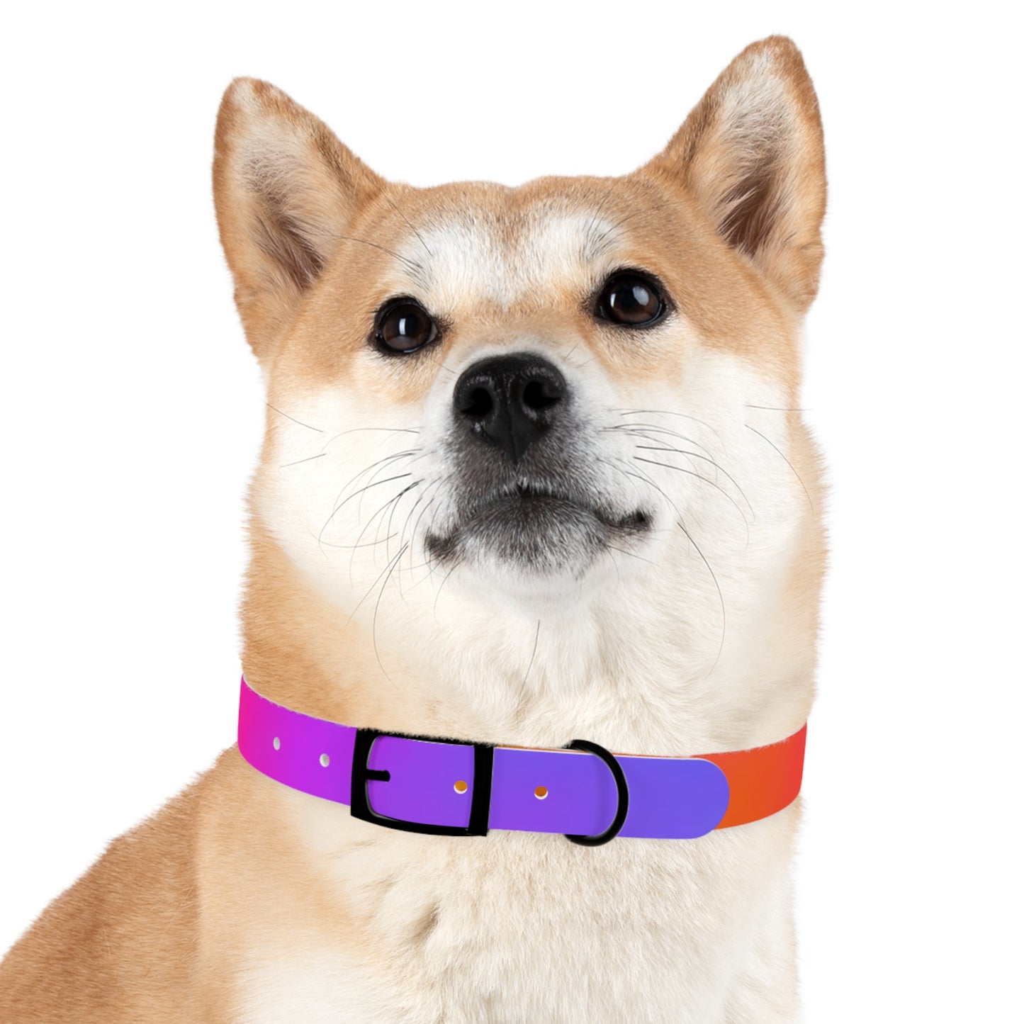 Tie Dye Dog Collar