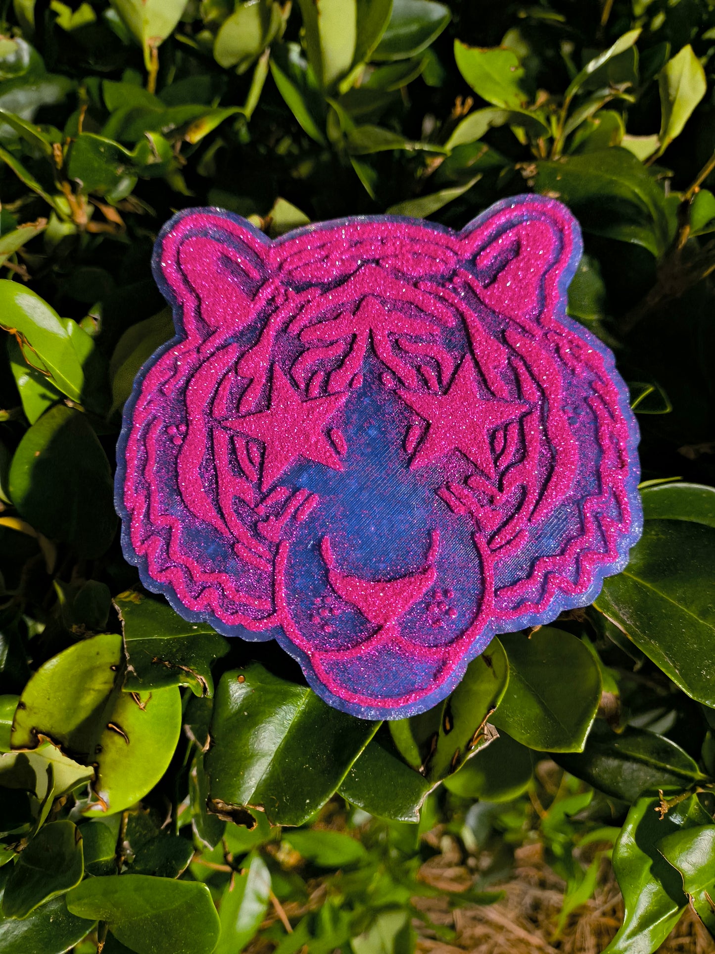 Tiger Freshie